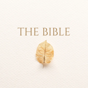 The Bible | Easy-to-Read Version (ERV)